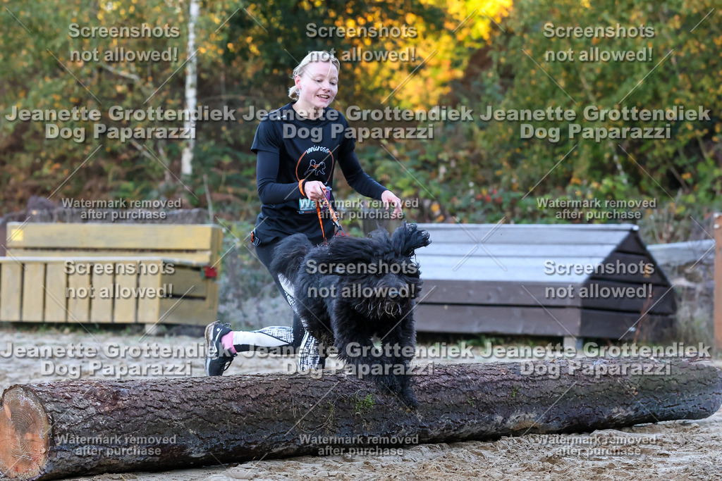 Dog Paparazzi - Strongdog 10-25-252 | Dog Paparazzi Jeanette Grottendiek Fotografie & Videografie - Realisiert mit Pictrs.com