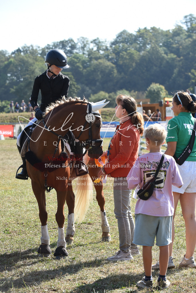 DSC_6158 | Pferde- und Turnierfotografie in Westsachsen. Pferdeportraits, Auftragszeichnungen und intuitive Kunst.