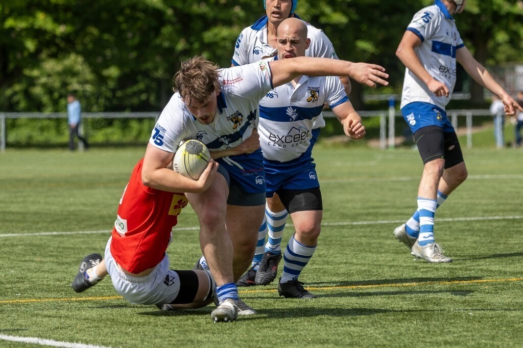 Rugby Bundesliga, Saison 2025/26, 17. Spieltag: TSV Handschuhsheim gegen SC Germania List | Rugby Bundesliga, Saison 2025/26, 17. Spieltag: TSV Handschuhsheim gegen SC Germania List - Realisiert mit Pictrs.com