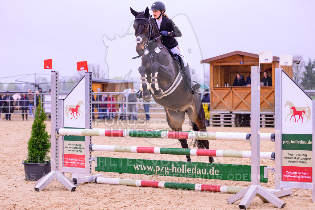 12042026-Mammendorf-Prfg38-0352 | Fokus Hufschlag Fotografie - Realisiert mit Pictrs.com