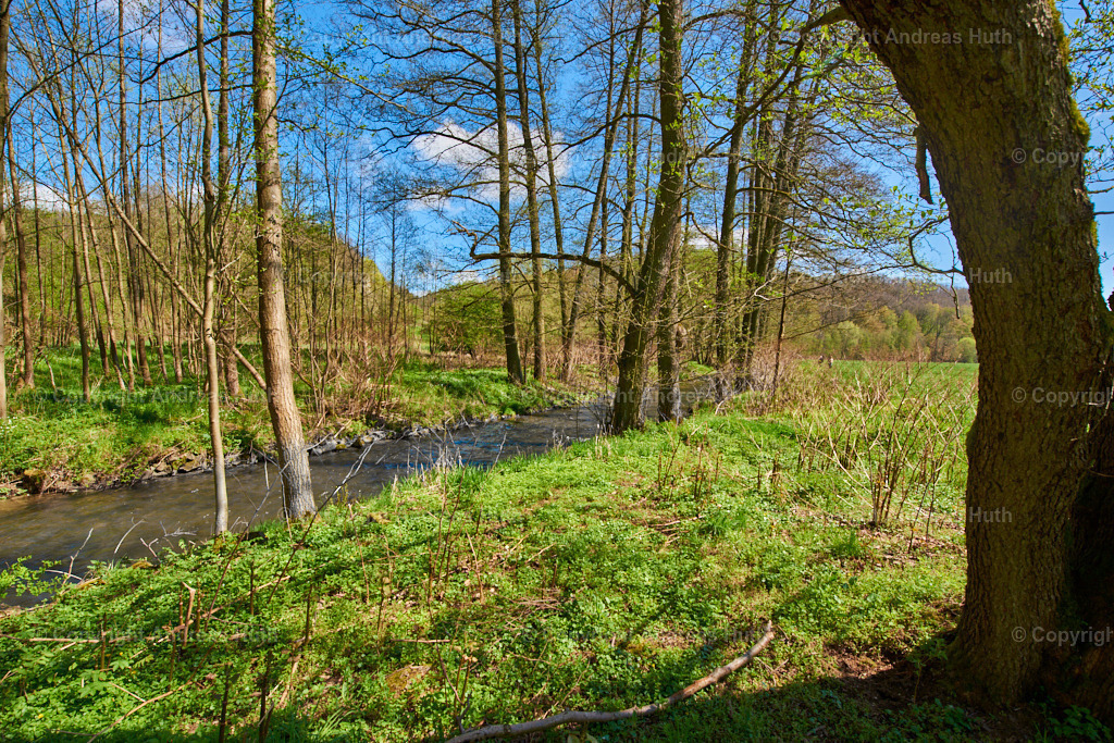 Die Triebisch in den Heynitzer Wiesen 02 | Bedeutsame Landschaften Deutschlands - Realisiert mit Pictrs.com