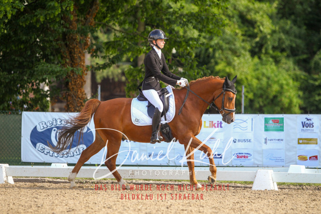 DKP43036 | Turniersportfotografie; Pferdefotografie; Dressurfotografie