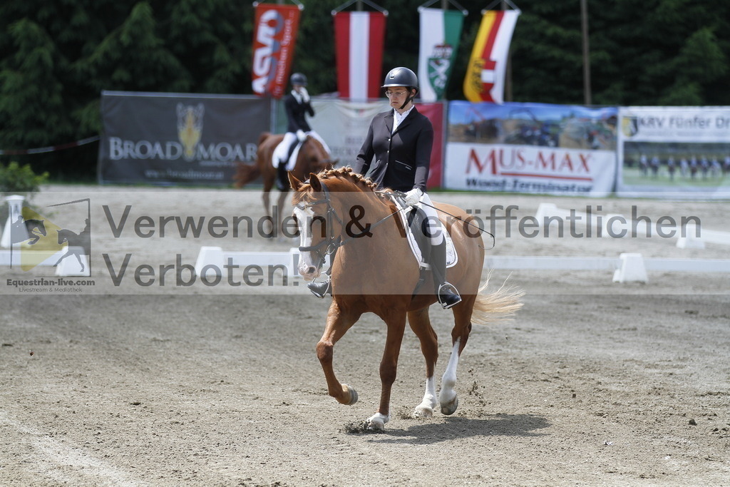 _MG_1294 | equestrian-live-com