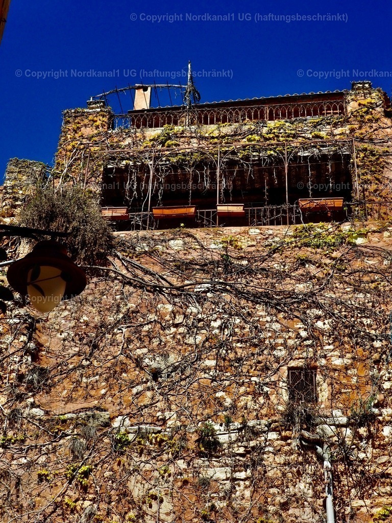 IMG_3006 | OLYMPUS DIGITAL CAMERA          - Realisiert mit Pictrs.com