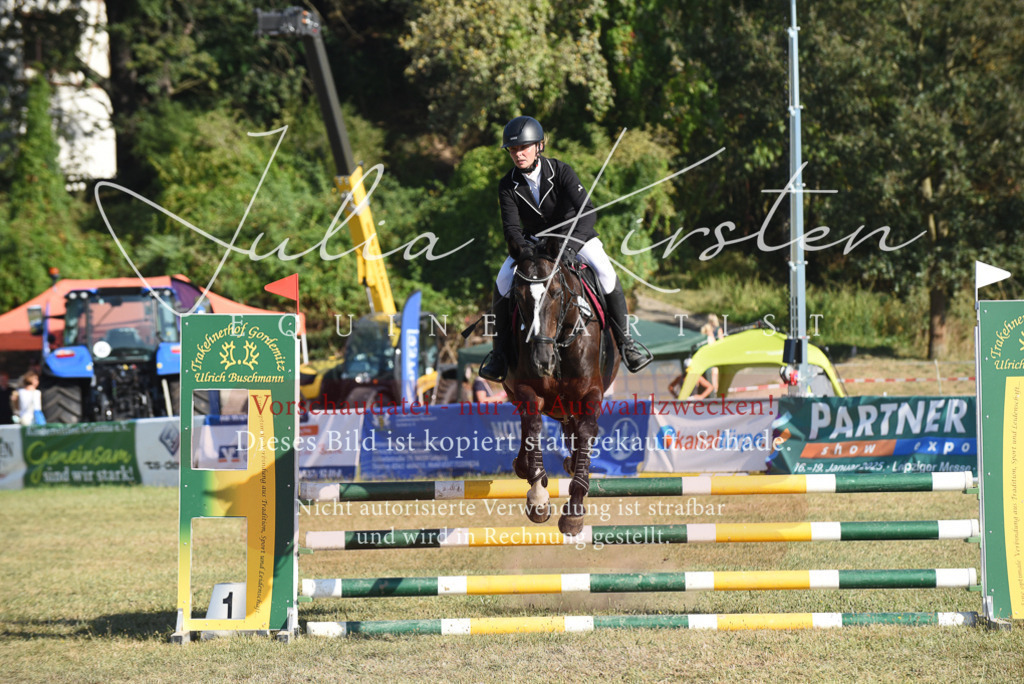 DSC_5377 | Pferde- und Turnierfotografie in Westsachsen. Pferdeportraits, Auftragszeichnungen und intuitive Kunst.