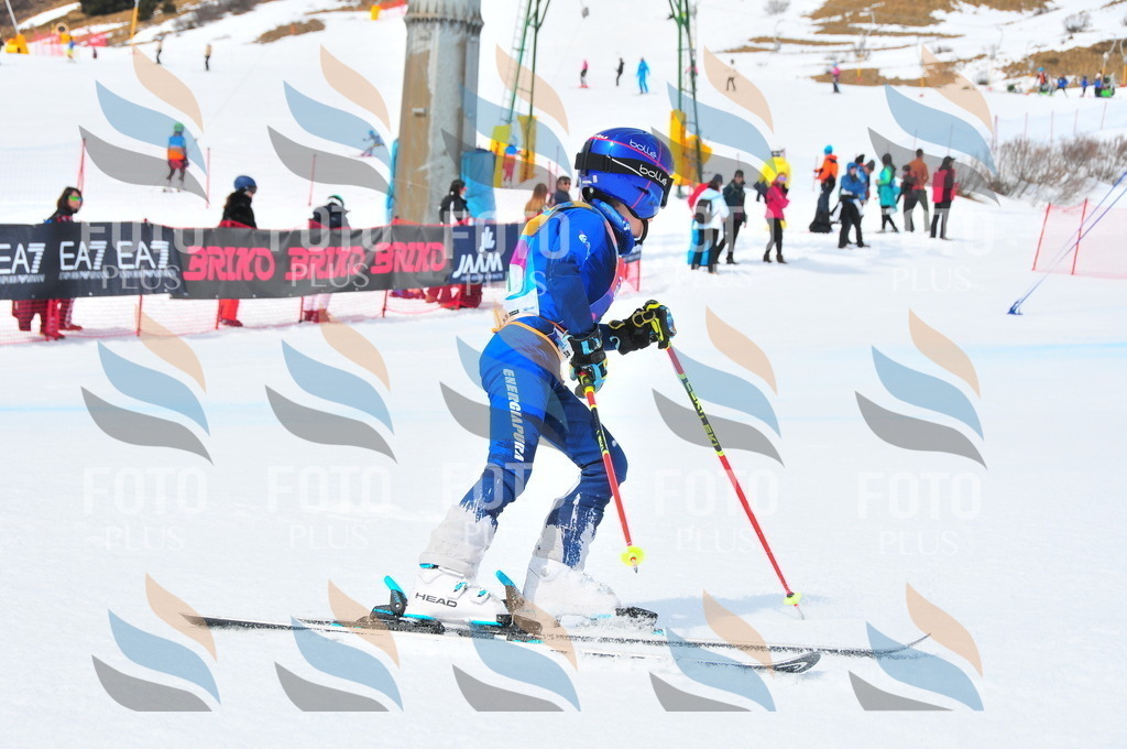 DSC_2234 | holidayphoto