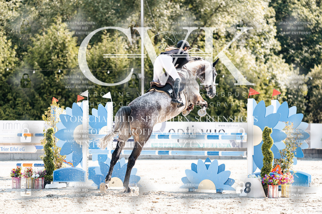CK902275 | Turnierfotografie Pferdefotografie Trier Rheinland-Pfalz Pferdesport Reitsport Tierfotografie Sportfotografie Pferdevideo Pferdevideografie Equestrianvideography equestrianphotography  - Realisiert mit Pictrs.com