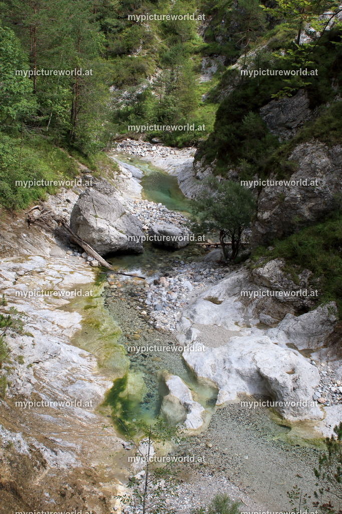 Trögenerklamm-004 | Das Bilderarchiv über Tiere, Planzen und Landschaften. In der Bilddatenbank finden Sie ein große Auswahl an hochwertigen Bilder für Ihre Werbung - Realisiert mit Pictrs.com