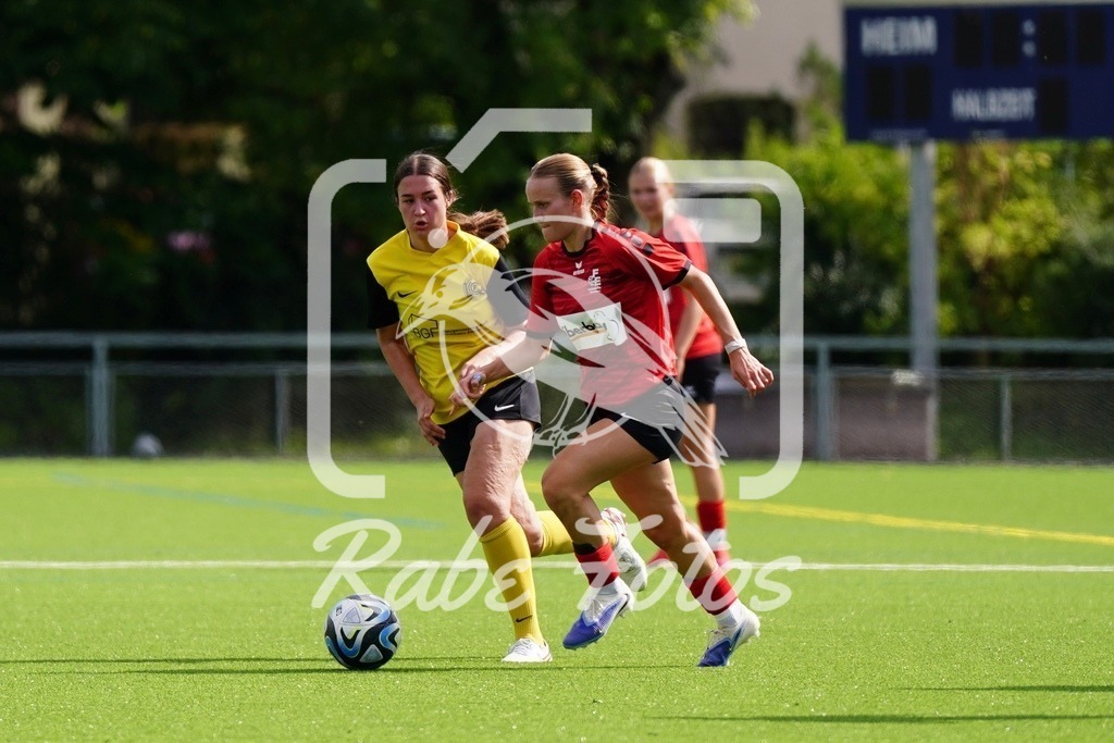 SON08826 | rabefotos