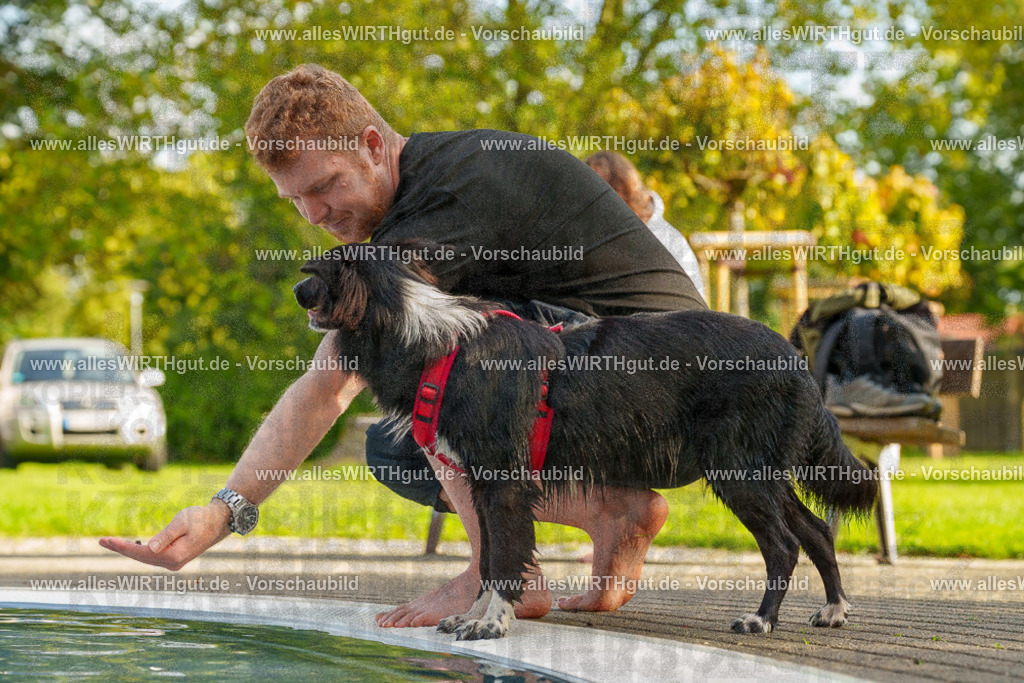 Hundeschwimmen_Grefrath_2026-allesWIRTHgut_Tierfotografie-09_48-7R502497 | Professionelle Tierfotografie in Mönchengladbach von Daniel Wirth (allesWIRTHgut). Liebevolle & natürliche Bilder von Hunden & Katzen für unvergessliche Erinnerungen.