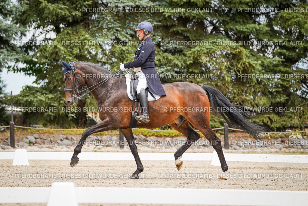 DSC04996 | Pferdegrafie