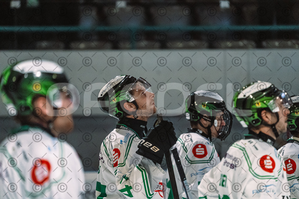 Erding_vs_Alligators_02_01_2026-82 | Höchstadt Alligators Fotogalerie: Eishockey-Action aus Franken. Professionelle Spielfotos, Portraits & Stadionbilder zum Download. Jetzt entdecken! - Realisiert mit Pictrs.com