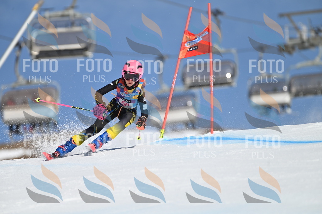 BGV_8529 | holidayphoto