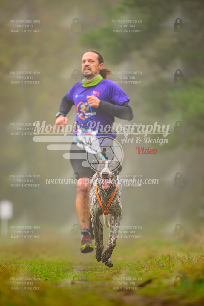 MompixPhotography_Bischwiller2025_Canicross-41 | mompixphotography