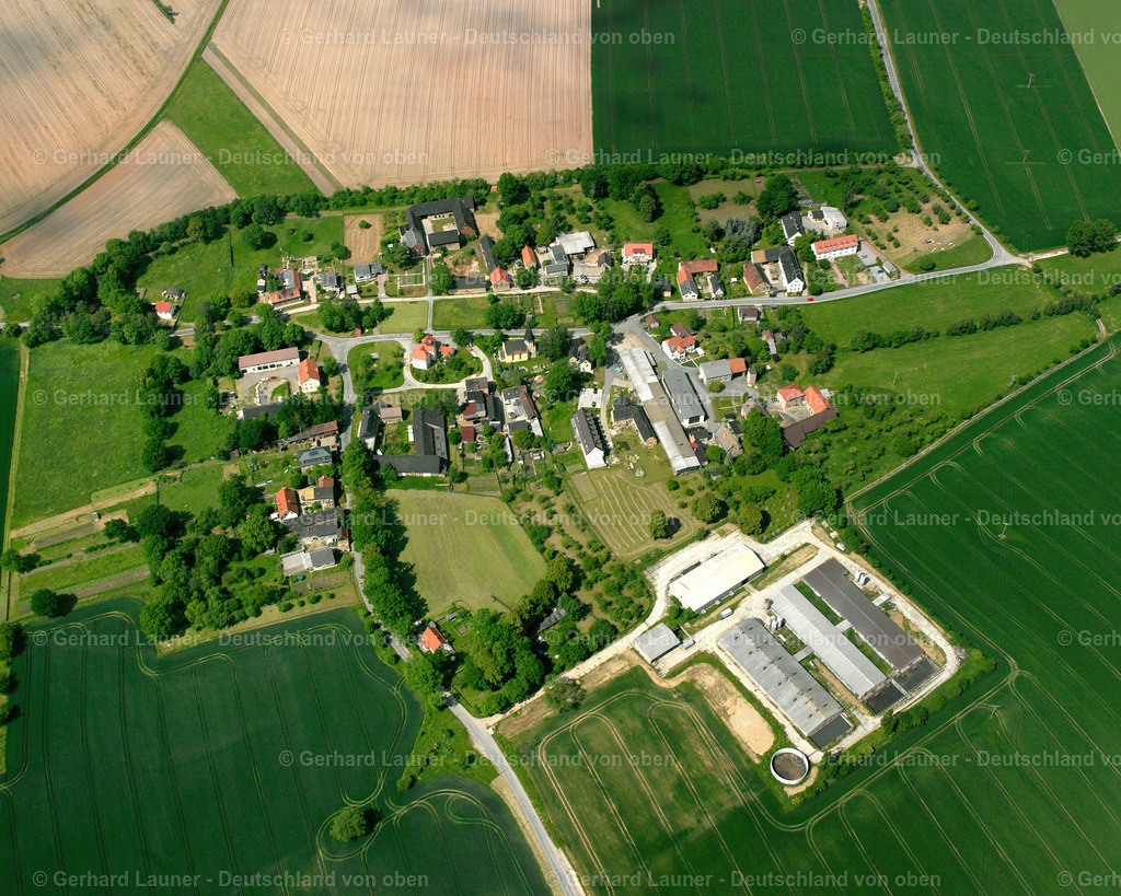 2412811 | Hirschfeld