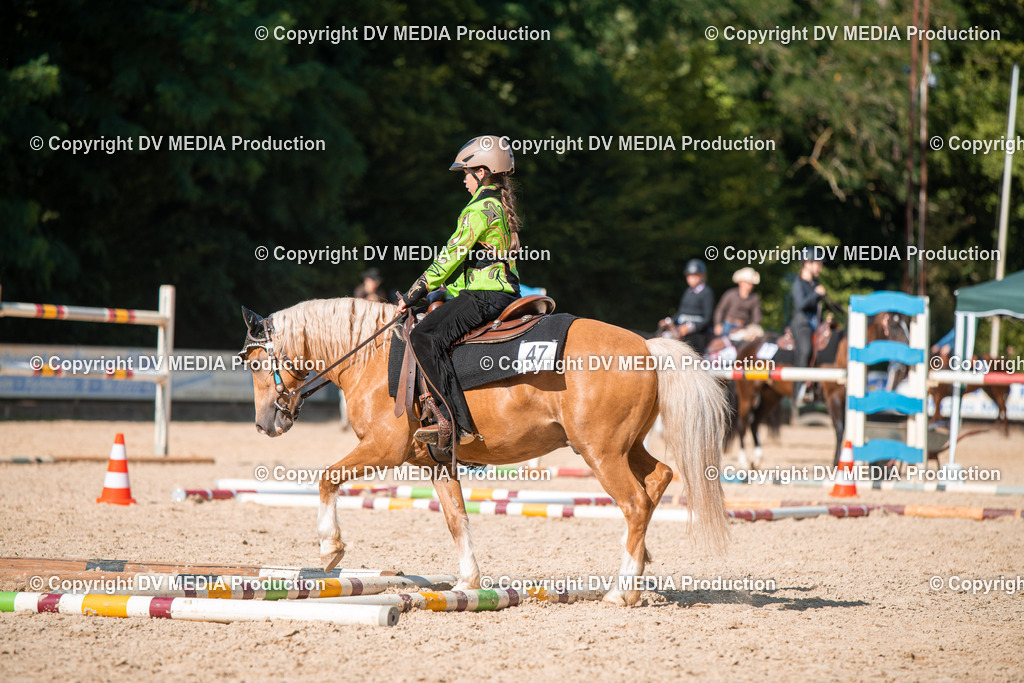 EWP_6957 | dv-media-shop - Realisiert mit Pictrs.com