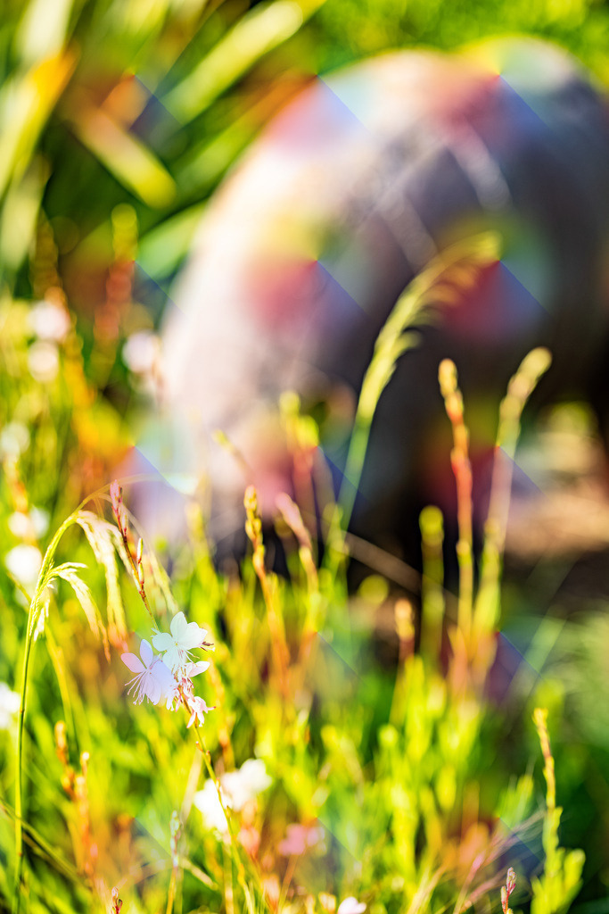 1M5A8874 | FineArtPrint, Hahnemühle, FeeGalerie, Fee Galerie, Fotokunst, Fotografie, Canonphotography, Bergfoto, Matterhorn, Rimpfischhorn, Allalinhorn, Saas-Fee, Wallis, Valais, Switzerland, Bergfotografie
