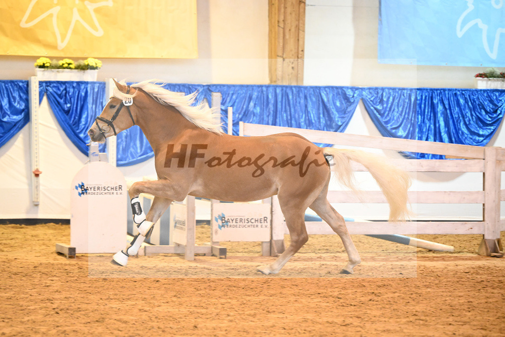 Kat-Nr. 20 nn v. Bugatti_Hock_60220343 | hf-fotografie - Realisiert mit Pictrs.com