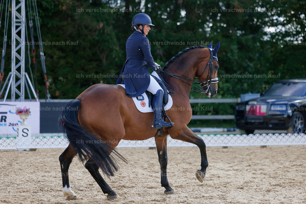 09_2-169-DRESSUR  S_  -StoibPH-5760 | working equitationturnier fotograf videograf stoibphotography marixx film working equitation deutschland reitsport turnierfotografie eventfotografie equestrian events