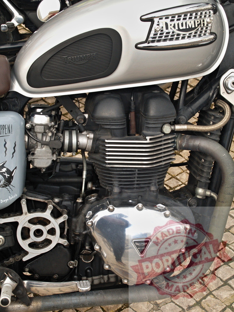 Triumph motorcycle engine and fuel tank close-up | Silver Triumph motorcycle fuel tank and engine showcasing vintage mechanical details and chrome - Realized with Pictrs.com