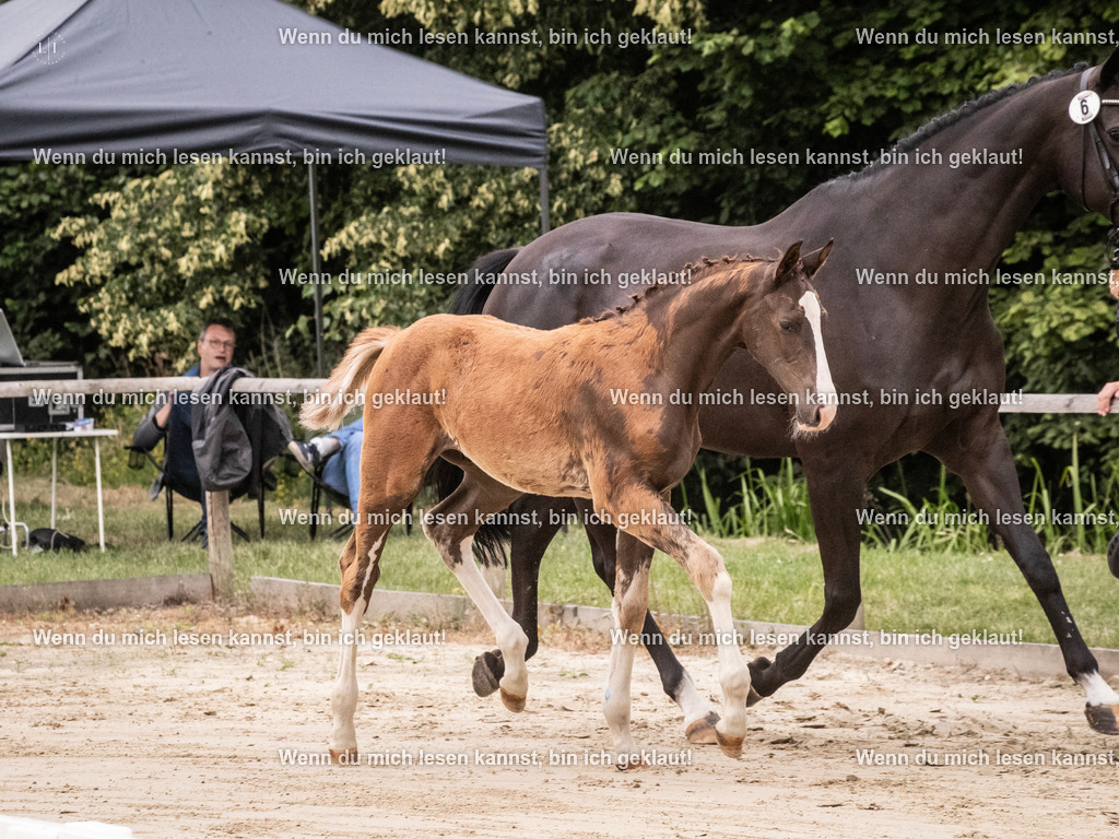 A10I9934 | photographylinaismer - Realisiert mit Pictrs.com