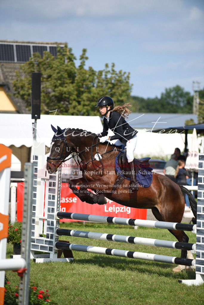 DSC_8940 | Pferde- und Turnierfotografie in Westsachsen. Pferdeportraits, Auftragszeichnungen und intuitive Kunst.