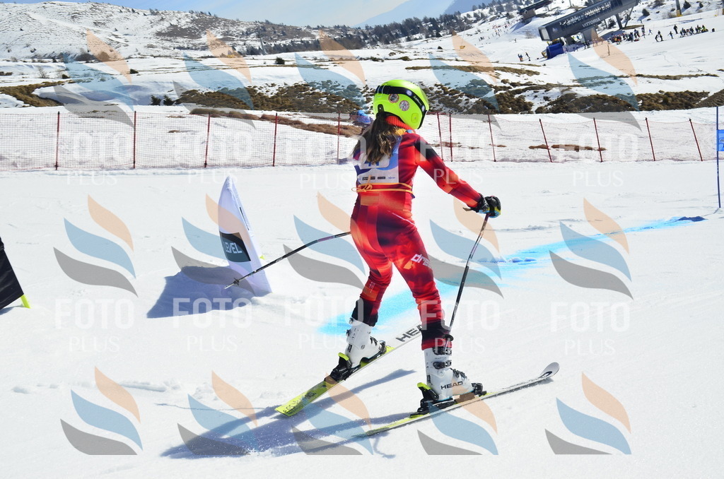 _ELE0070 | holidayphoto