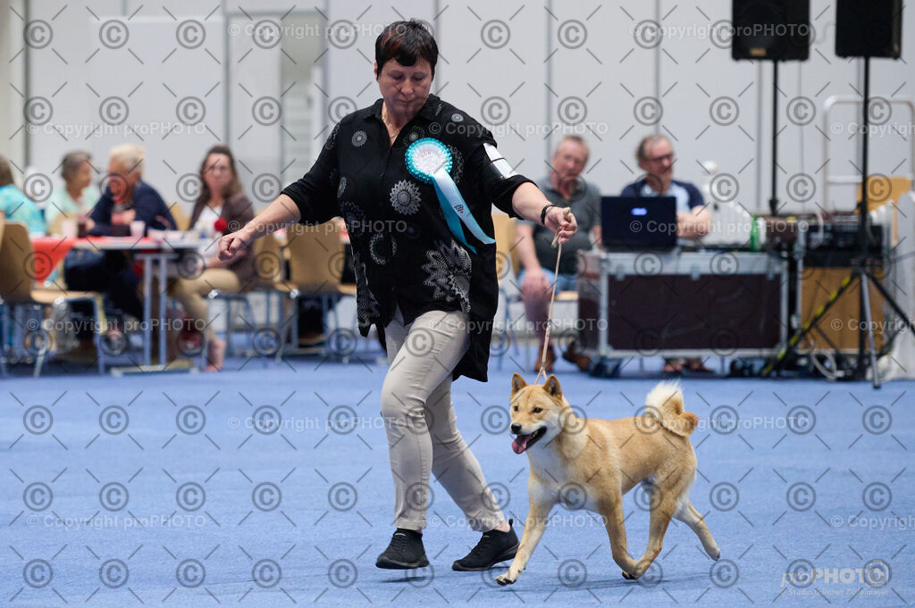 202406_ÖKV-IHA-Tulln24_DSC_3046 | proPHOTO - Realisiert mit Pictrs.com