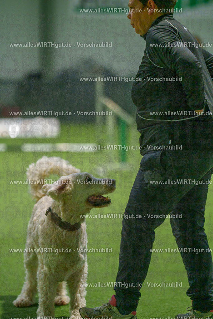 7R504328 | Professionelle Tierfotografie in Mönchengladbach von Daniel Wirth (allesWIRTHgut). Liebevolle & natürliche Bilder von Hunden & Katzen für unvergessliche Erinnerungen.