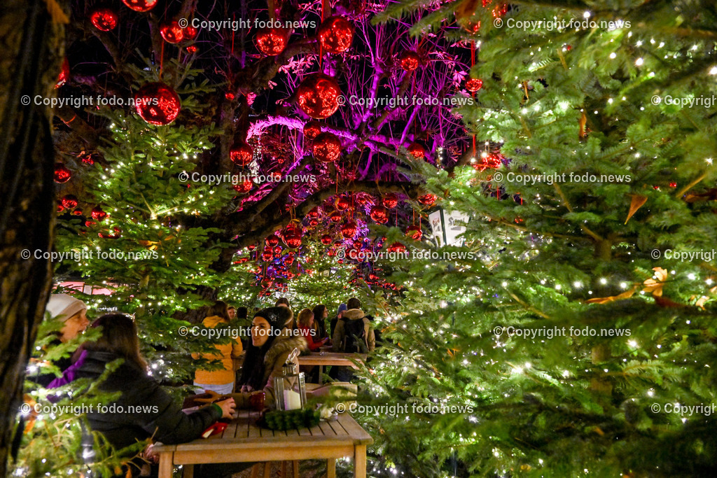 Weihnachtsmarkt_ Linz_ 22.11.2023-37 | 22.11.2023, Linz, AUT, Klosterhof, im Bild Winterzauber, Weihnachtsmarkt, Winterwald, Besucher, Tradition, Brauchtum, Beleuchtung, Tannen, Baume, Speisen, Getraenke