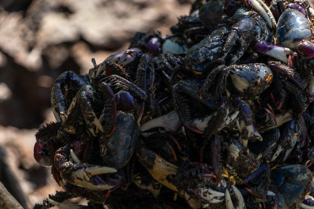 20251114-DeltaTour-0004 | paulependelt - Realisiert mit Pictrs.com