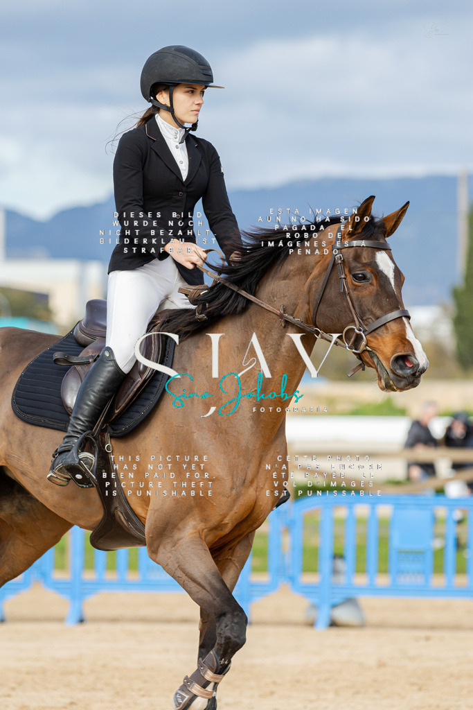 IMG_3212 | s-jay-photography - Realisiert mit Pictrs.com