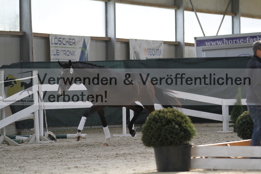 _MG_9832 | equestrian-live-com