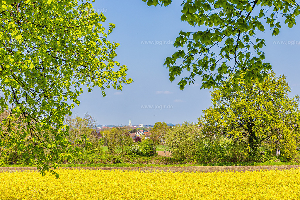 gross _MG_1785 | Infrarot, Fotografie, Fotoshooting, Foto, Bestellen, Infrarotfotografie, Bild, Bilder, Fotos  - Realisiert mit Pictrs.com