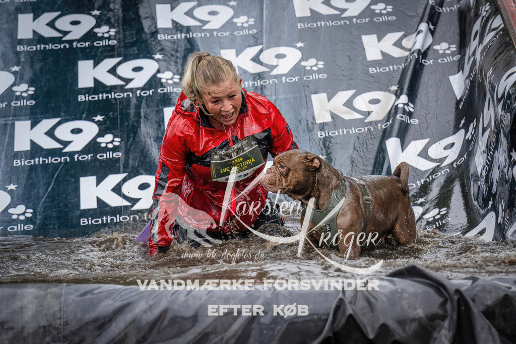 1237_ZZ90282 | kk-dogfotos