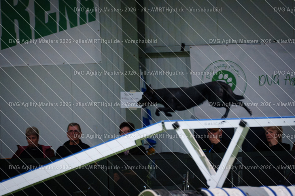 allesWIRTHgut_Tierfotografie-DVG_Agility_Masters_2026-14_24-7R504647 | Professionelle Tierfotografie in Mönchengladbach von Daniel Wirth (allesWIRTHgut). Liebevolle & natürliche Bilder von Hunden & Katzen für unvergessliche Erinnerungen.