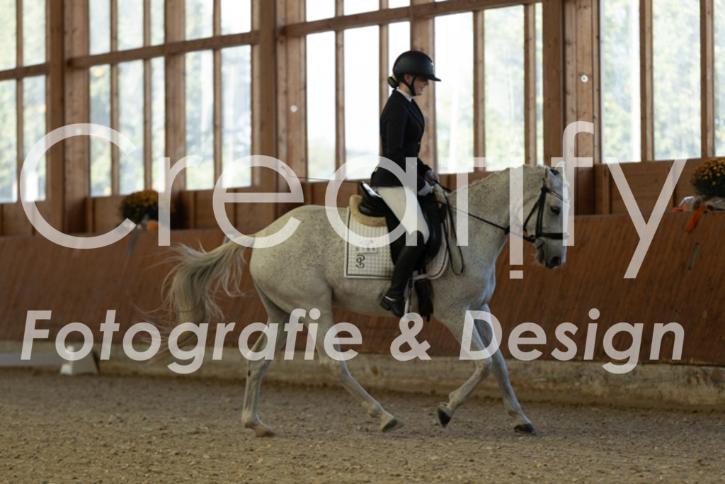 IMG_1006 | Creatify Fotografie