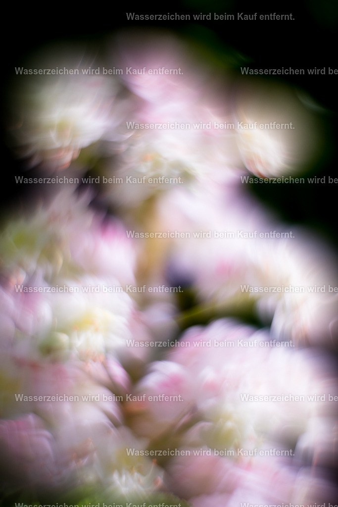 Scheinwelten sind Seinswelten | Die Botschaft zum Bild lautet: Welchen Schein lebst Du?Scheine aus deiner Herzenskraft und nicht aus dem, was andere Menschen meinen, in dich rein interpretieren zu müssen. Es ist so wichtig für dich, diese Energie zu nutzen, um negative Energie zu entfernen und dich komplett auf dich zu besinnen. Besinne dich auf deine Herzenskraft auf dein wahres Scheinen, auf deine Realität, die du mit deinem Herzen erschaffst.