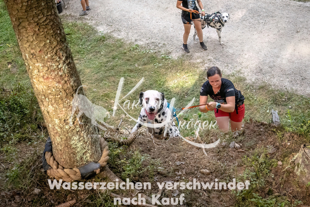 1046_ZZ92195 | kk-dogfotos