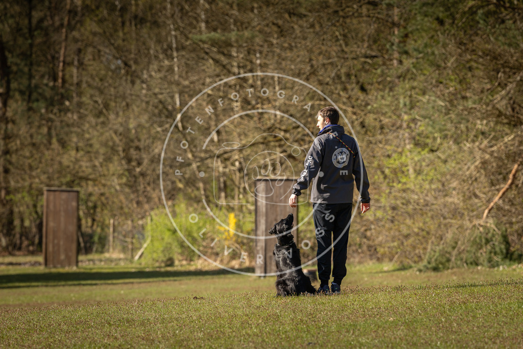 Pfotenfotografie_DV3A0221 | Hundefotografie, Tierfotograf, Pfotenfotografie, Fotoshooting Hund, Hunde Portrait, Hundesport, Hundeportraits, Heideshooting, Hunde, Sportfotograf, Hundefotograf, Turnierhundsport, THS,  - Realisiert mit Pictrs.com