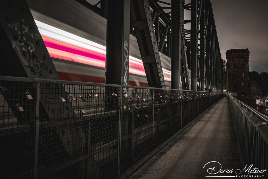 DSC_6954 | Fotografien, Fotos und Bilder aus Mainz, Frankfurt, Wiesbaden und anderen Orten auf der Welt - Fotografiert von Darius Metzner