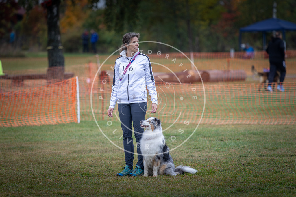 Pfotenfotografie_DV3A9391 | Hundefotografie, Tierfotograf, Pfotenfotografie, Fotoshooting Hund, Hunde Portrait, Hundesport, Hundeportraits, Heideshooting, Hunde, Sportfotograf, Hundefotograf, Turnierhundsport, THS,  - Realisiert mit Pictrs.com