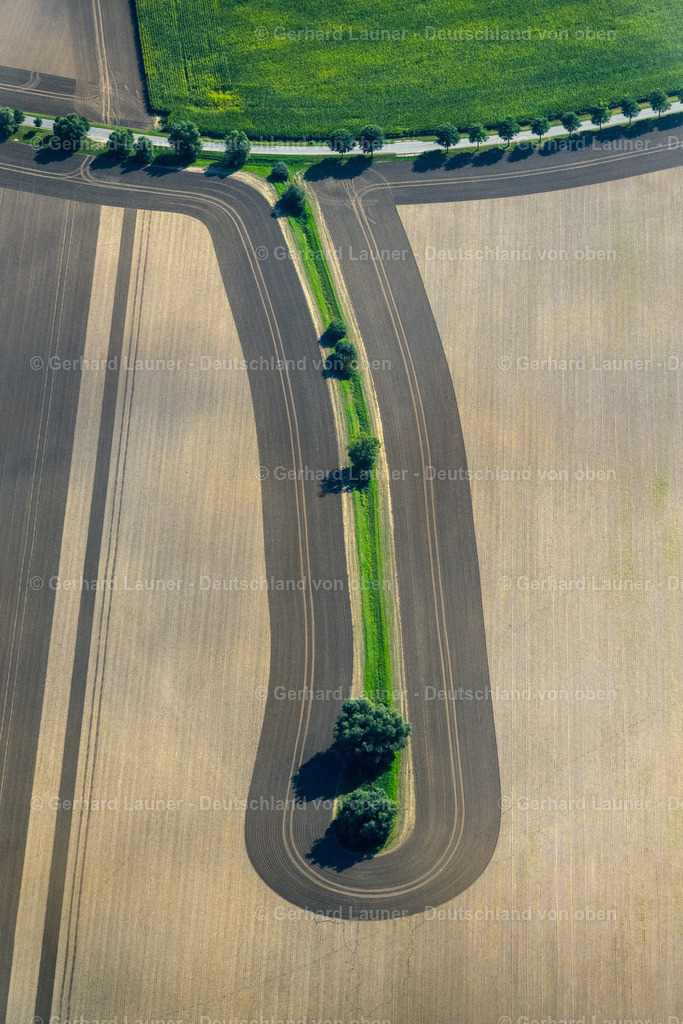 4061713 | NEUENPLEEN 08.09.2021 Baum- Inseln auf einem Feld in Neuenpleen im Bundesland Mecklenburg-Vorpommern, Deutschland. // Islands of trees in a field in Neuenpleen in the state Mecklenburg - Western Pomerania, Germany. Foto: Gerhard Launer