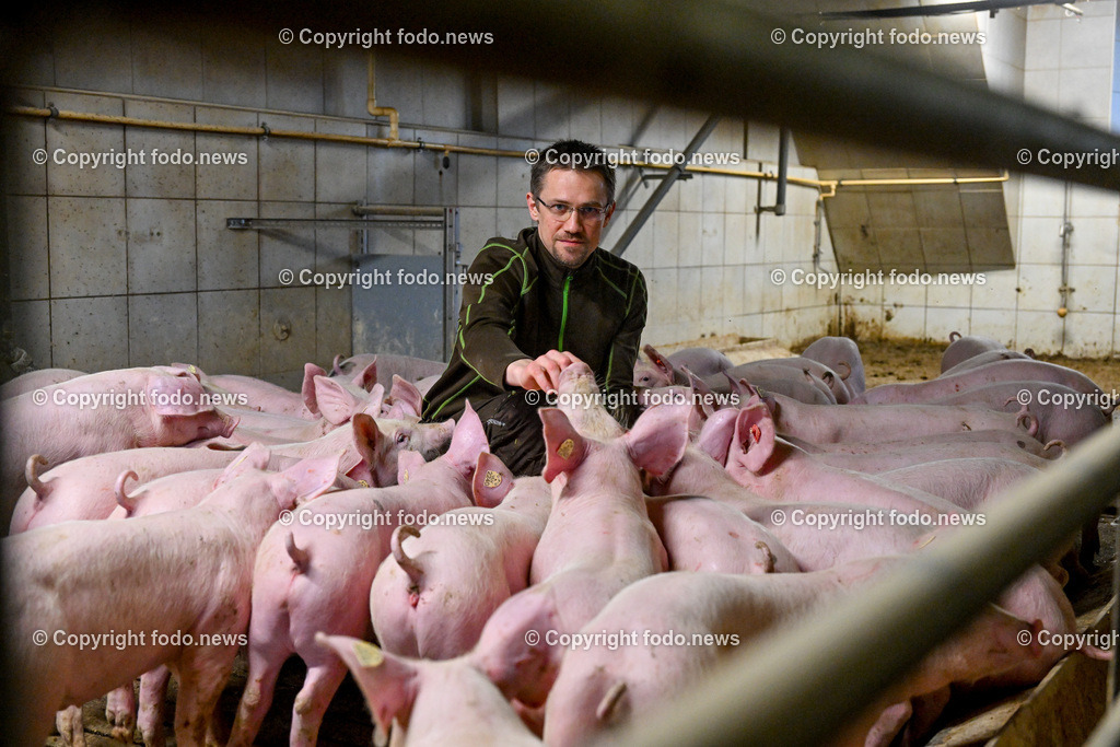 Landwirtschaft_ Schweinebauer_ 07.02.2024-5 | 07.02.2024, Obernberg am Inn, AUT, Landwirtschaft, Schweinebauer, im Bild Thomas Reisecker (Schweinebauer)