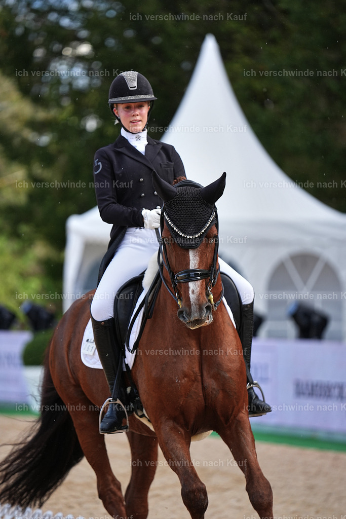 10-061-ST.GEORG SPECIAL -Marixx-3325 | working equitationturnier fotograf videograf stoibphotography marixx film working equitation deutschland reitsport turnierfotografie eventfotografie equestrian events