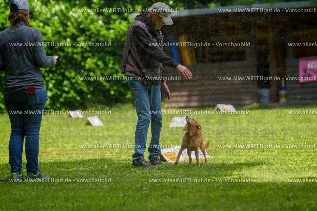 @allesWIRTHgut_Tierfotografie - www.allesWIRTHgut.de - 7R504162 | Professionelle Tierfotografie in Mönchengladbach von Daniel Wirth (allesWIRTHgut). Liebevolle & natürliche Bilder von Hunden & Katzen für unvergessliche Erinnerungen.