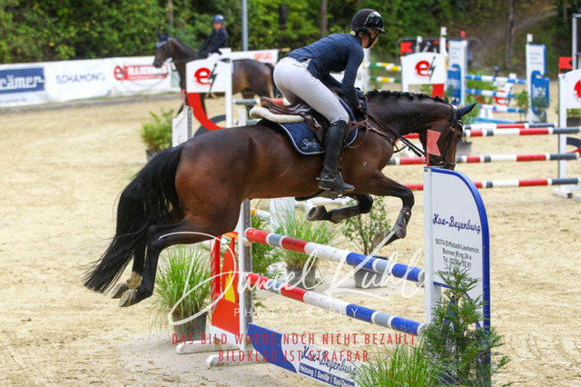 DKP40622 | Turniersportfotografie; Pferdefotografie; Dressurfotografie