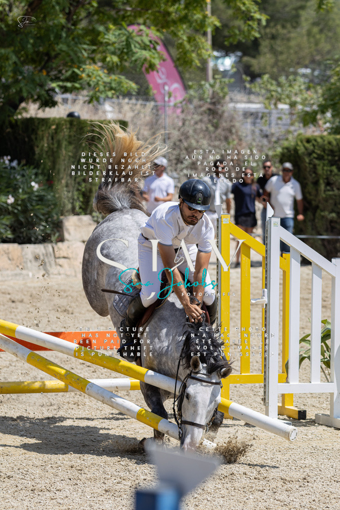 IMG_8040 | s-jay-photography - Realisiert mit Pictrs.com