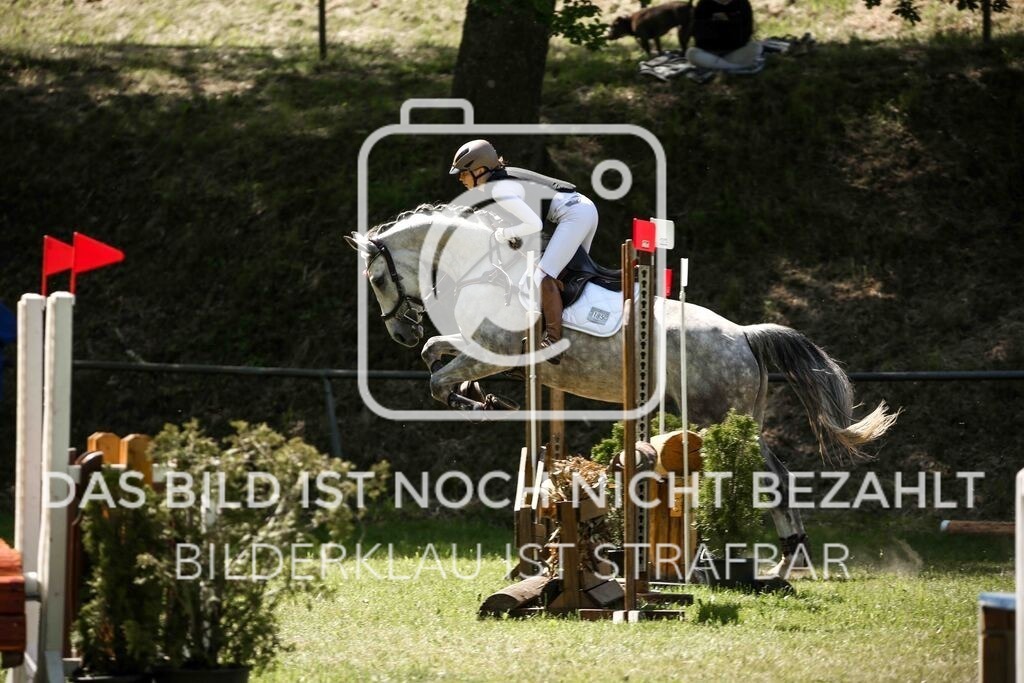 032 Prüfung 05 Geländereiter - WB 60cm | Turnierfotografie, Turnierfotos, Turnierfotografin, Turnierbilder, Turnierfotografie Ostalbkreis - Realisiert mit Pictrs.com