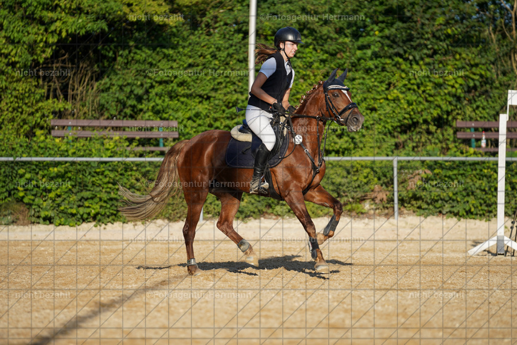 20240824-FAH08785 | Thierhaupten 2024, Bayerisches Landesponyturnier, Turnierbilder, Ponybilder, Turnierfotografen Bayern, Fotoagentur Herrmann